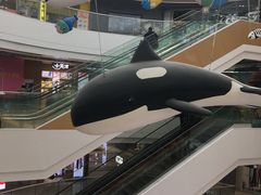 -上海颛桥万达广场