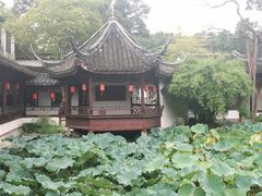-上海醉白池公园
