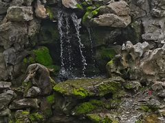 -上海醉白池公园