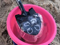 -南戴河国际娱乐中心