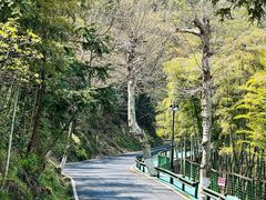 -莫干山风景区