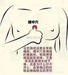 -香薇妮丝女子减肥院