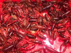 -红灯笼龙凤饭店(宁波老字号店)