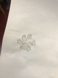 -明星刺青·洗纹身