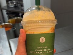 -茉酸奶(松江开元地中海店)