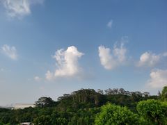 -水濂山森林公园