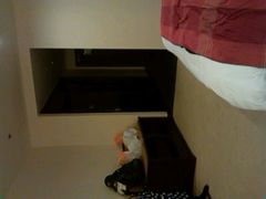 android_upload_pic-厦门日月谷温泉渡假村