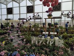 -盈香心动乐园