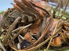 -芸海阁·农家私房菜(沙家浜景区出口店)