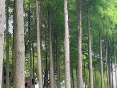 -苏州太湖湖滨国家湿地公园