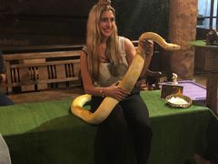 -清迈夜间动物园