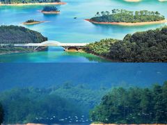 -广州市流溪河国家森林公园