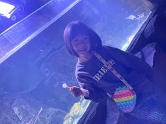 -重庆欢乐海底世界