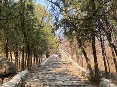 -阳台山自然风景区