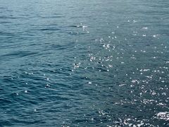-巴拉湾海滩