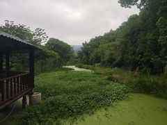 -西山人家·二十年老字号农家菜(旺山店)