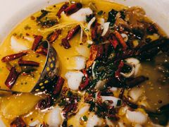 -九毛九西北菜(百信广场店)