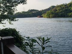 -重庆园博园