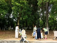 -艾溪湖湿地公园
