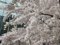 -维多利亚火车站