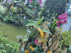 -东莞植物园