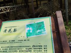 -呀路古热带植物园