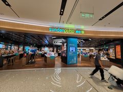 -sundanpulse顺电·脉(海岸城购物中心店)