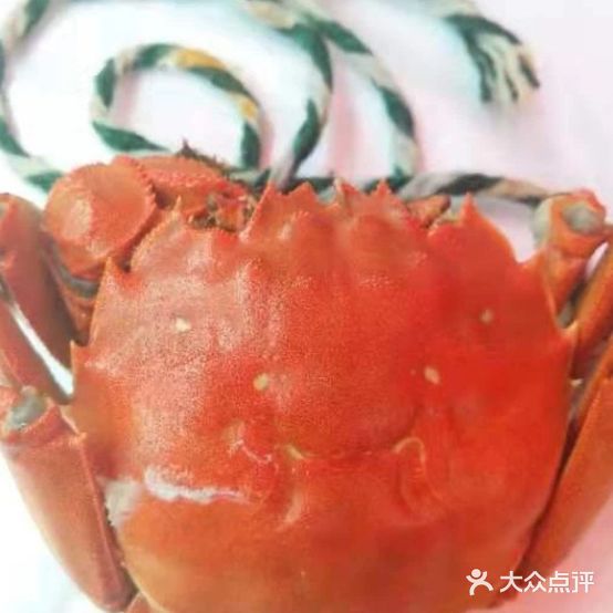 蟹之霸阳澄湖大闸蟹(龙城壹号店)