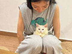 -楼上猫咖(罗湖店)