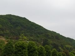 -黔灵山公园