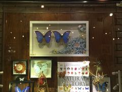 -Behring World of Animals(上海自然博物馆店)
