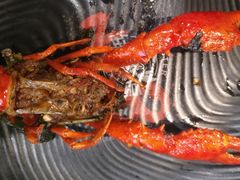 -海岛八号龙虾烧烤田鸡(蓝天路总店)