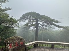 -黄山风景区