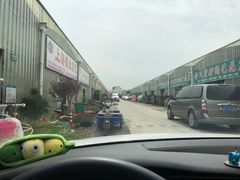 -龙大花卉苗木市场