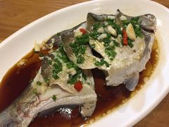 -WILDS 野有食(碧坞店)