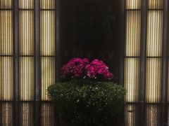 -上海璞麗酒店