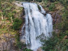 -海南热带雨林国家公园吊罗山景区