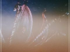 -万达广场(北京槐房店)