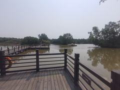 -大湾区中央湿地公园