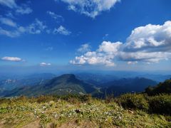 -白草畔自然风景区