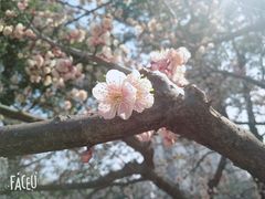 -圩墩遗址公园