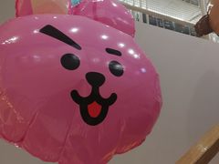 -line friends(明洞旗舰店)