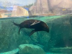 -福州罗源湾海洋世界旅游区