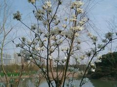 -艾溪湖湿地公园