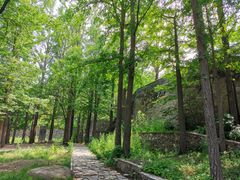 -阳台山自然风景区