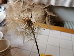 -春风十里咖啡馆