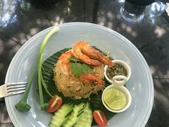 -Fern Forest Cafe
