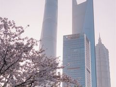 -龙美术馆(西岸馆)