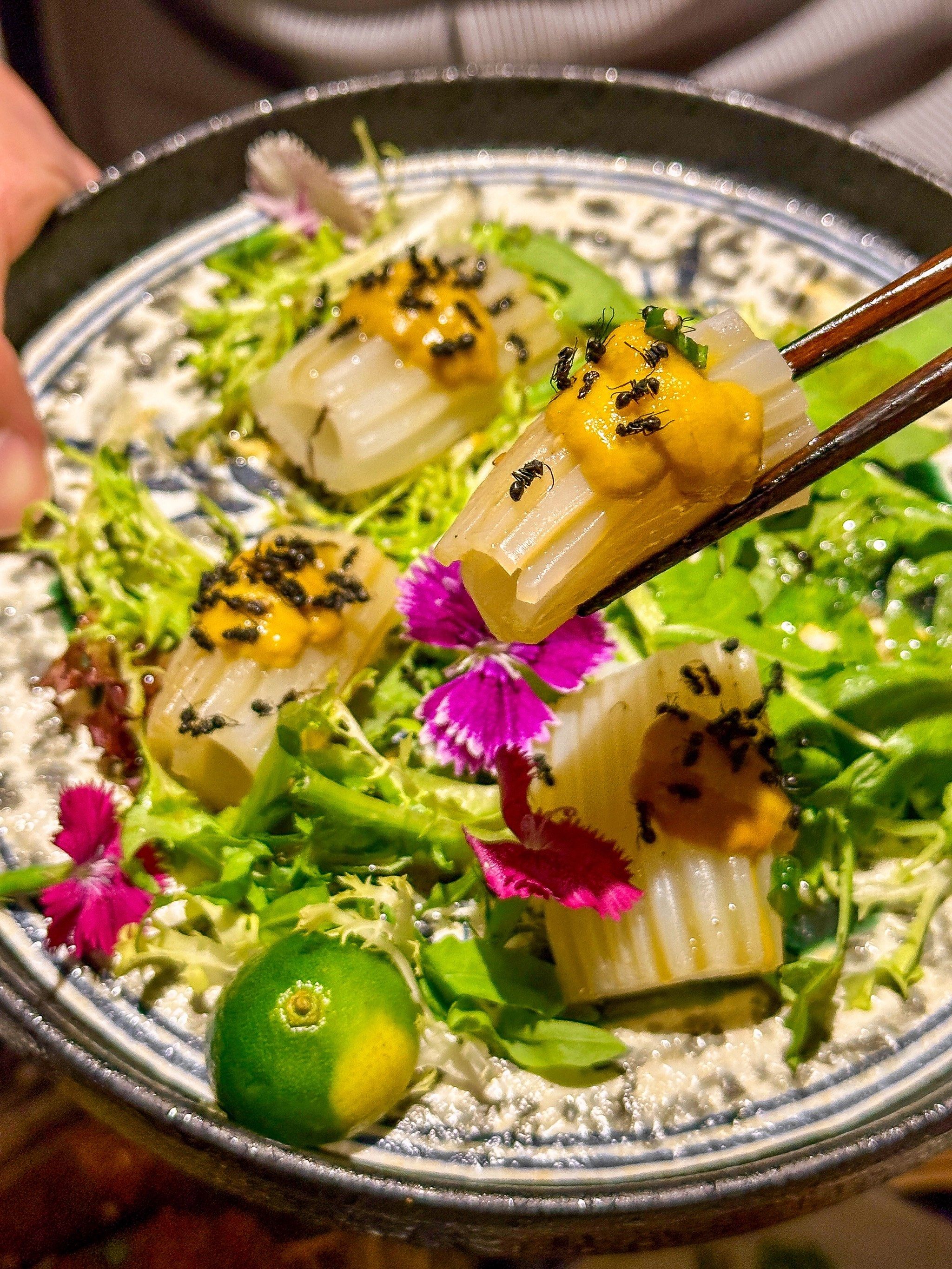 朋友说带我吃蚂蚁🐜