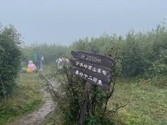 -秦岭风景区